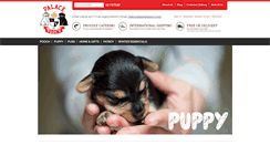 Desktop Screenshot of palaceofpooch.com