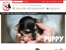 Tablet Screenshot of palaceofpooch.com